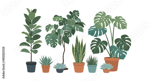 Collection of Various Houseplants in Pots.