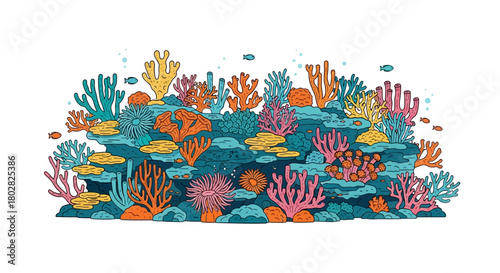 Colorful coral reef with various marine life 2.