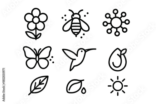 Pollination Icon Set. Line style icons of Pollination: Flower, Bee, Pollen, Butterfly, Hummingbird, Seed, Leaf, Sun, No text, No