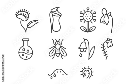 Carnivorous Plant Icons. Line style icons of Carnivorous Plant: Venus Flytrap, Pitcher Plant, Sundew, Digestive Fluid, Lured