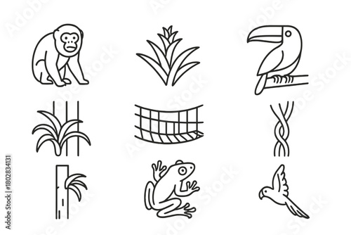 Rainforest Canopy Icons. Line style icons of Rainforest Canopy: Howler Monkey, Bromeliad, Canopy Walkway, Toucan, Epiphyte, Tree