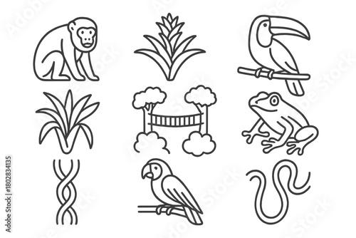 Rainforest Canopy Icons. Line style icons of Rainforest Canopy: Howler Monkey, Bromeliad, Canopy Walkway, Toucan, Epiphyte, Tree