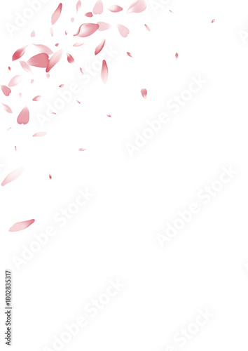 1785x2526-08__Pudra_sakura1_01.eps