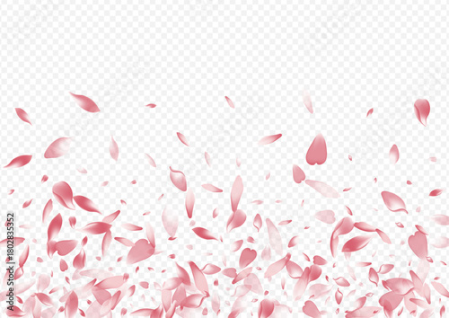 2400x170010__Pudra_sakura1_01.eps