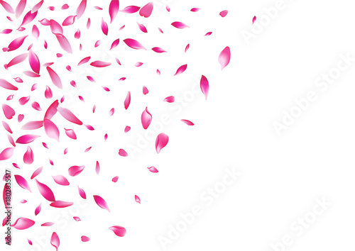 2400x170047__Pink2_01.eps