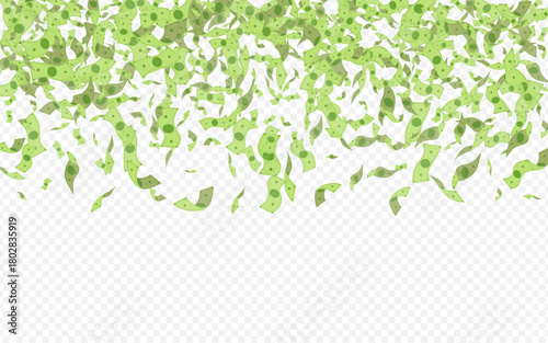 dollar_fly_transparent_893.eps