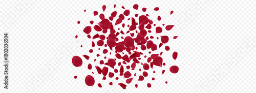 Red_Petal_Vortex_Flying_Vector_Transparent_Background_48.eps