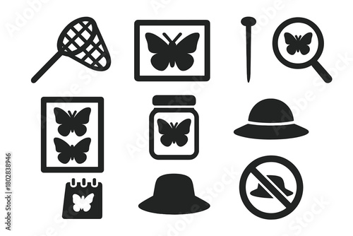 Butterfly Collecting Tools. Solid style icons of Butterfly Collecting: net, spreading board, entomological pin, display case,