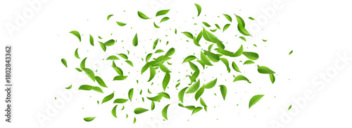 Leaves_Vortex_Flying_Vector_Background_194.eps