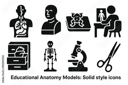 Educational Anatomy Icons. Solid style icons of Educational Anatomy Models: Anatomical Organs, Papier-Mâché, Dissection, Study,