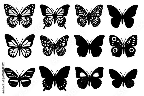 Butterfly Species Icons. Solid style icons of butterfly species: monarch, swallowtail, painted lady, blue morpho, glasswing, red