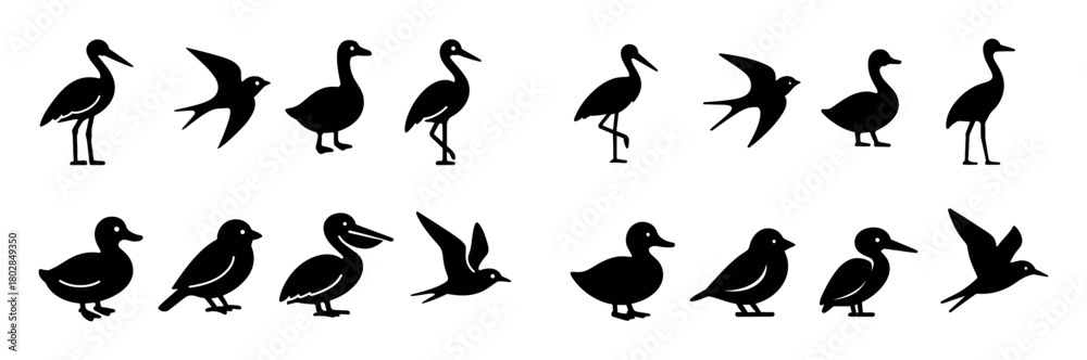 Obraz premium Migratory Birds Icons