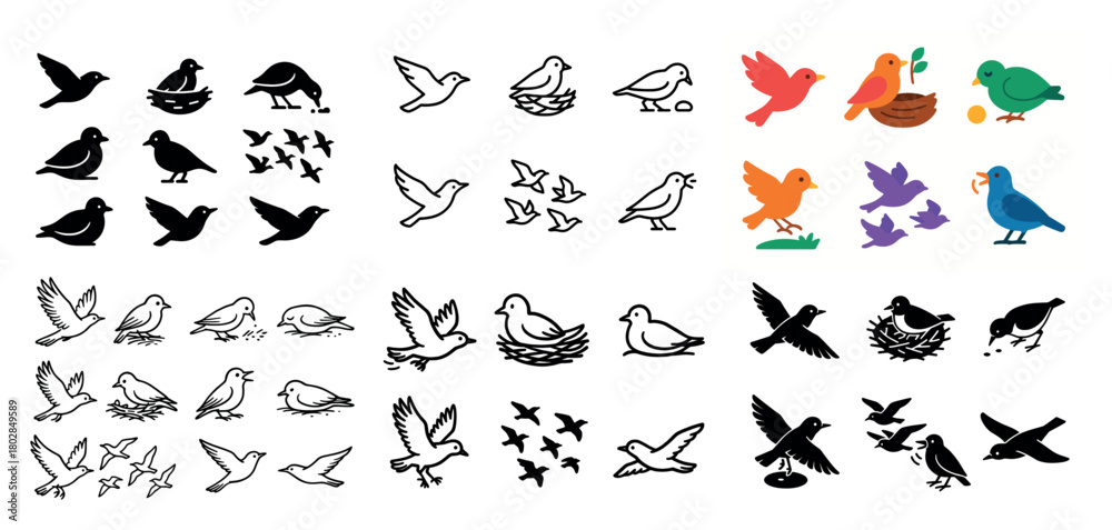 Fototapeta premium Various bird silhouettes and illustrations