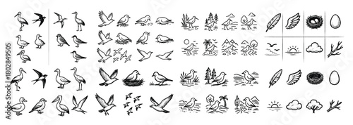Bird sketches: nature and wildlife icons