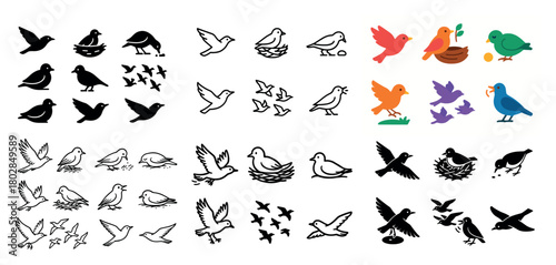 Various bird silhouettes and illustrations