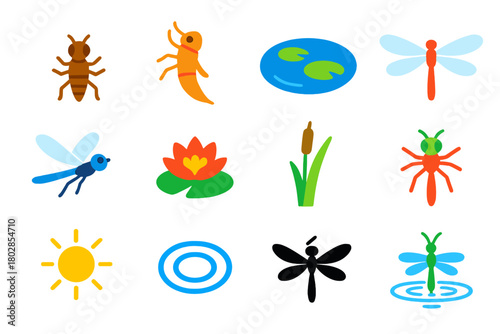 Dragonfly Life Cycle Icons. Flat vector icons of Dragonfly Life Cycle: nymph, larva, pond, wings, flight, water lily, reed, insect
