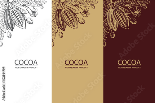 collection of cocoa packages with beans, branch and leaves