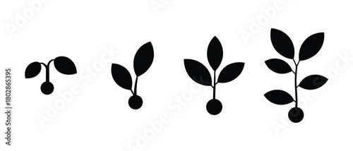 Plant growth stages silhouette icon collection