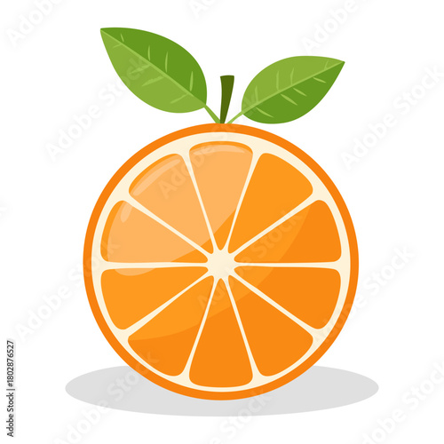 Fresh organic citrus fruit orange slice with green leaves vector illustration