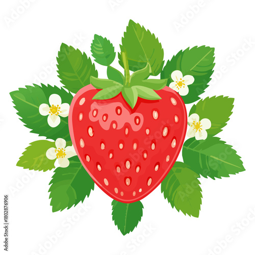 Fresh Strawberry with Leaves Isolated on White Background
