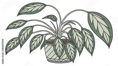 Houseplant with drooping leaves in decorative pot showcasing natural beauty. This houseplant features lush, vibrant leaves creating an inviting atmosphere in home decor.