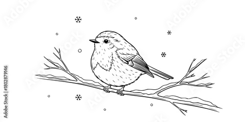 Robin Bird Perched Simple Line Art Vector