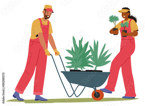 Man and woman gardeners cartoon character preparing plants for landscape design working together
