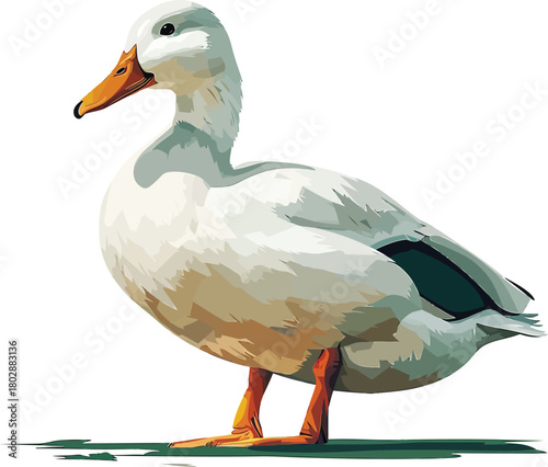 Adobe Illustrator Artwork