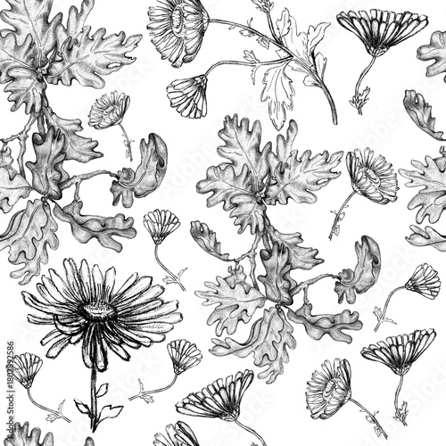 Black and White Chrysanthemum Oak Pattern