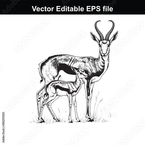 Detailed black and white drawing of a mother gazelle and her young fawn standing together in grassy field, isolated on