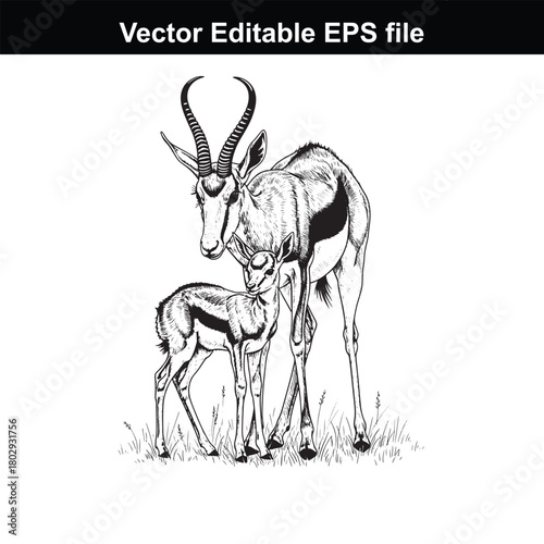 A mother springbok and her fawn stand together in tall grass, rendered in a detailed black and white sketch style