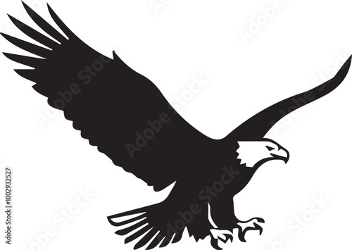 Vector illustration of eagle flying with broad wings against transparent backdrop
