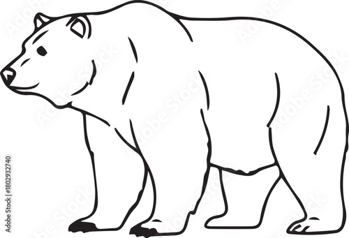 Bear silhouette animal vector standing on background transparent illustration