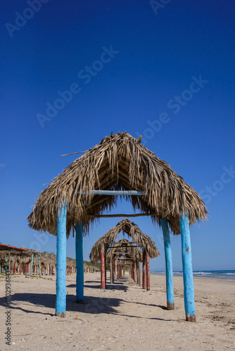 Wallpaper Mural Palapas en la playa Torontodigital.ca