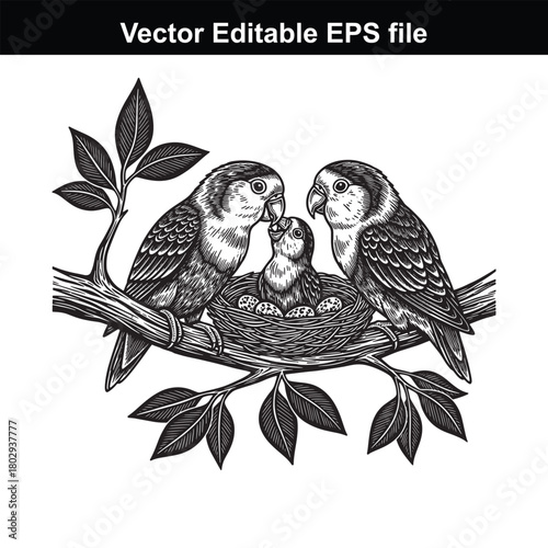 Black and white illustration of a family of lovebirds in a nest on a tree branch, isolated on