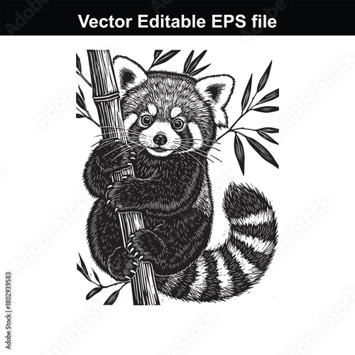 Red panda climbing on a bamboo stalk, black and white illustration, isolated on