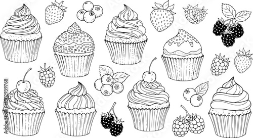 Hand Drawn Cupcakes and Berries Collection
