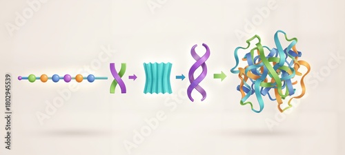 Diagram of protein structure and folding. Illustrating the stages from the amino acid chain to secondary structures (helix/sheet) and finally the complex functional 3D conformation.