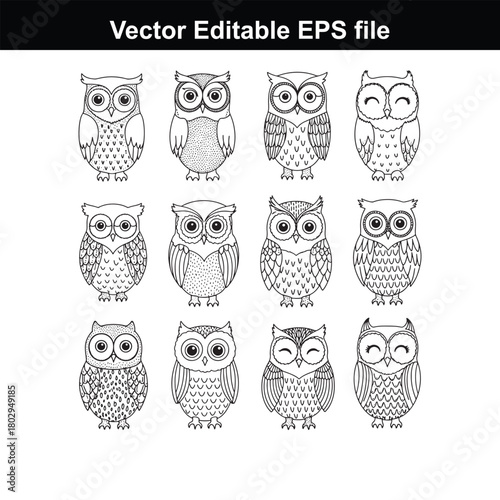 A collection of twelve cute handdrawn owls in a variety of poses and expressions, perfect for childrens designs