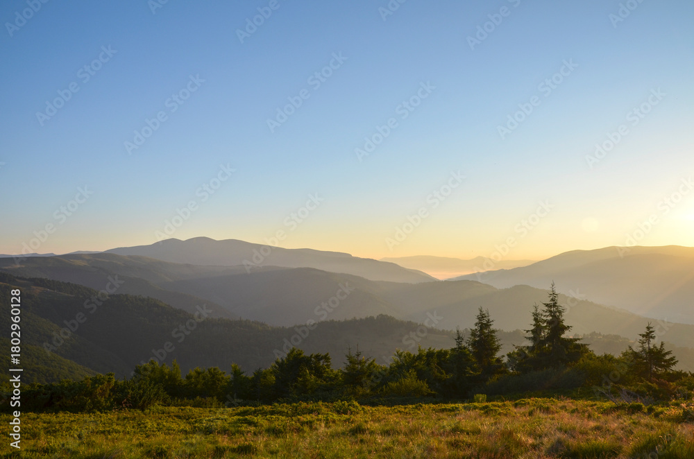 Naklejka premium Tranquil sunrise over layered mountain landscape, with pine trees in the foreground and golden light washing the valleys. Ideal for nature, travel, and outdoor lifestyle visuals. Carpathian Mountains