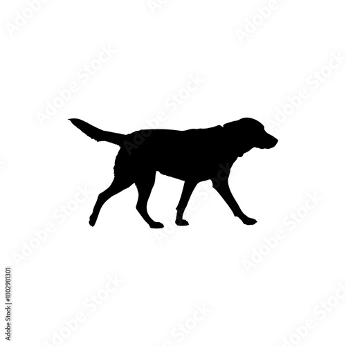 A silhouette of a dog walking against a white background with its tail slightly raised in the air