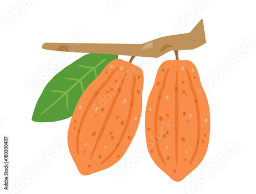 オレンジ色のカカオの実をイメージしたイラスト