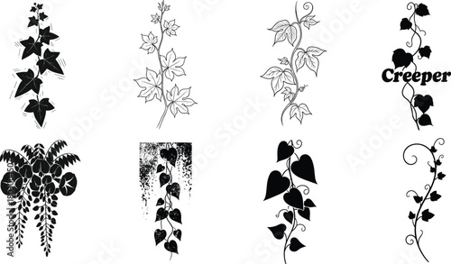 Collection of decorative creeper plant illustrations featuring various vine leaves, climbing stems, botanical elements, and ornamental foliage designs, elegant nature vector artwork set