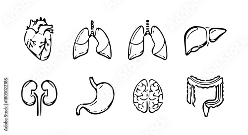 Minimalist Pastel Flat Icons of Human Organs
