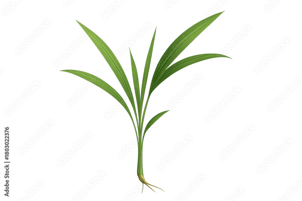 Obraz premium Young green plant with roots growing, representing new life, agriculture, ecology, and environmental freshness