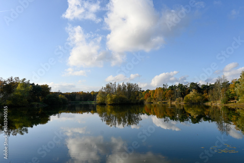 Nature landscape with lakes and pine trees woods near Veldhoven and Waalre, Kermpen forests, walking in autumn, North Brabant, The Netherlands