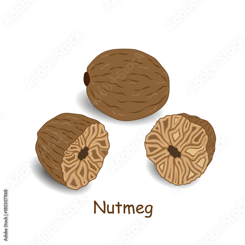 Nutmeg (spice) isolated on a white background