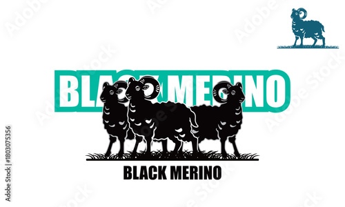 black merino sheep logo, silhouette of great ram standing vector illustrations