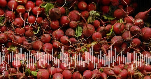 Radish pile filling frame, waveform animating across lower third, responding to audio playing