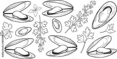 Collection of Hand-Drawn Mussels and Garnish Sprigs
